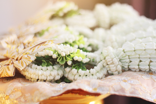 svadba-india-moringa