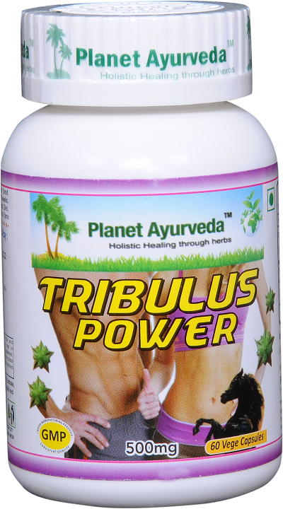 tribulus-power