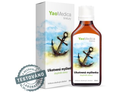 042 ukotvenie myslienky