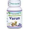 Varun-zdravoradka.sk