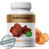 auricularia judasovo ucho