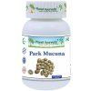 park mucuna