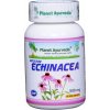 indicka_echinacea-zdravoradka.sk