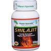 Shilajit