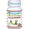 Cissus power zdravoradka