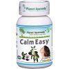 Calm Easy planet ayurveda zdravoradka