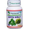 Gotu kola podpora pamate zdravoradka