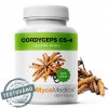 cordyceps cs 4 mycomedica zdravoradka