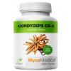 cordyceps extrakt mycomedica zdravoradka