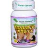 Planet Ayurveda Tribulus Power -  60 kapsul