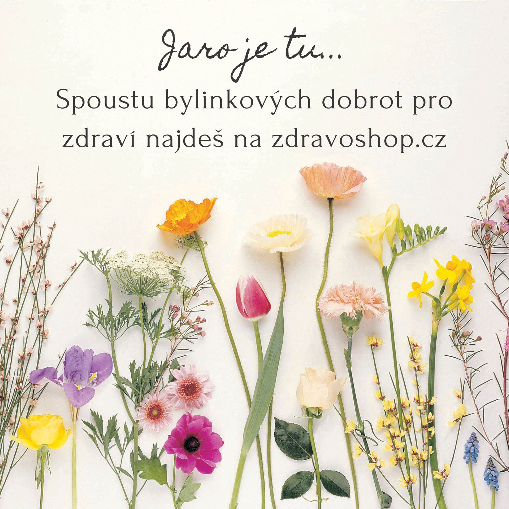 Jarní detox podle TČM