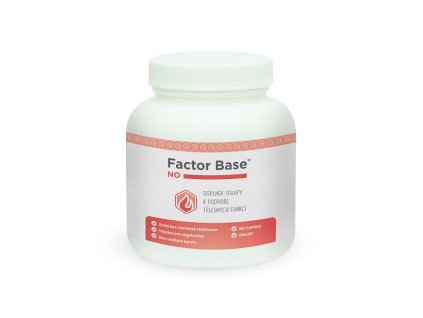 Factor base NO vizual new