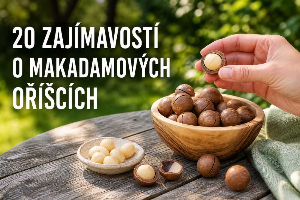 20 zajímavostí o makadamových oříšcích, které vás překvapí