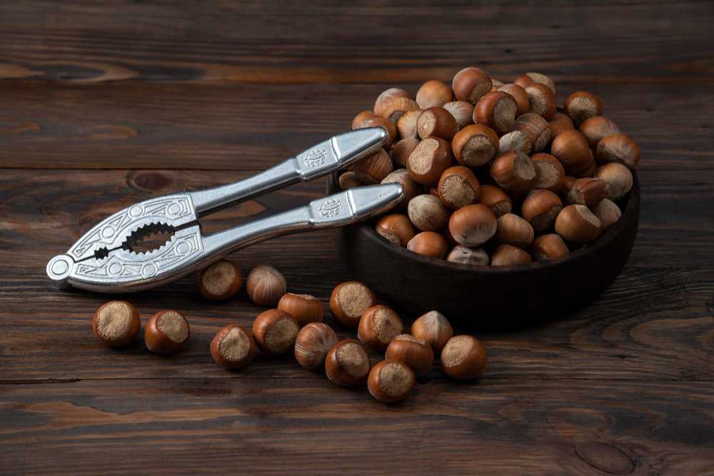 Lískové ořechy - nutriční hodnoty a zdravotní vlastnosti. Proč byste měli jíst lískové ořechy?