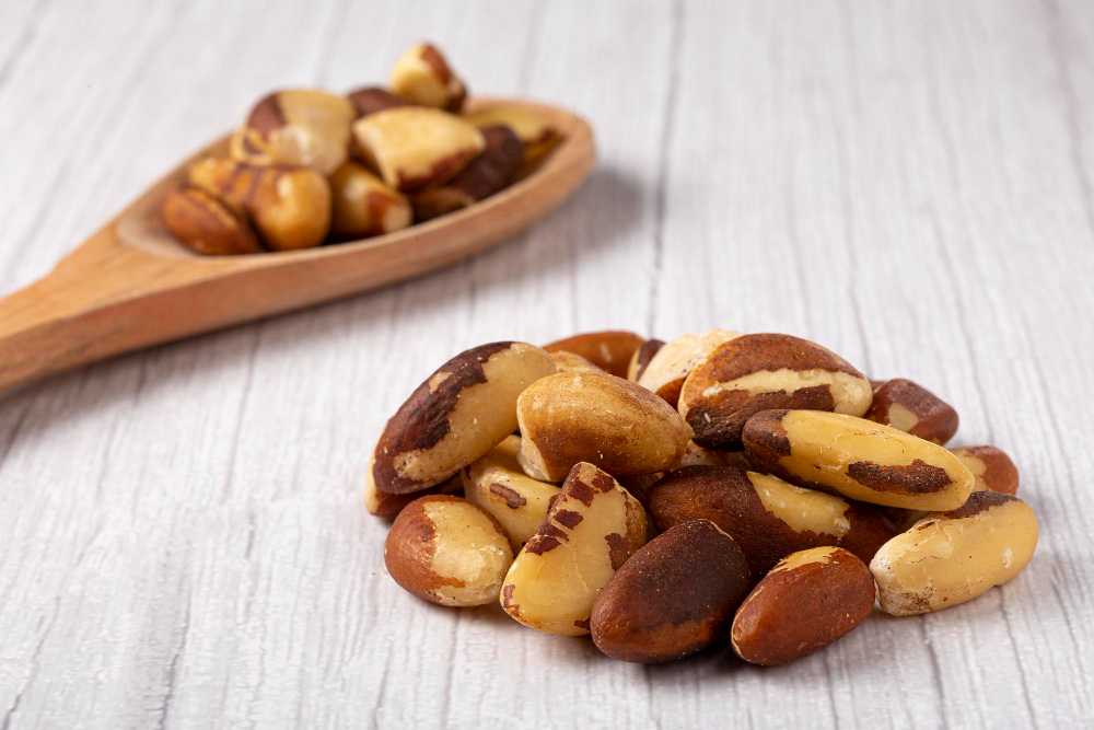 Para ořechy z Brazílie a para ořechy z Bolívie – jaké jsou rozdíly?