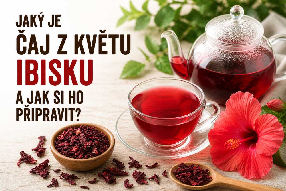 Čaj z květů ibišku: Zdravotní účinky, příprava a tradiční recepty
