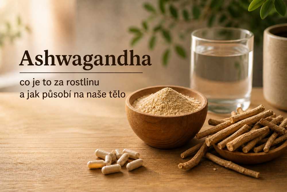 Ashwagandha – co je to za rostlinu a jak působí na naše tělo?