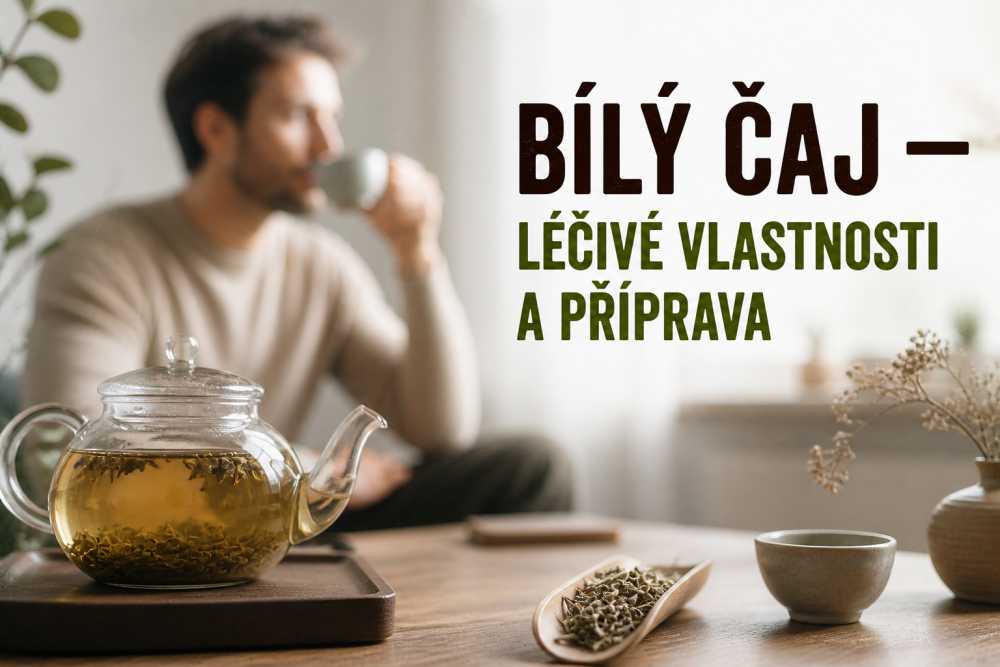 Bílý čaj: léčivé vlastnosti a příprava