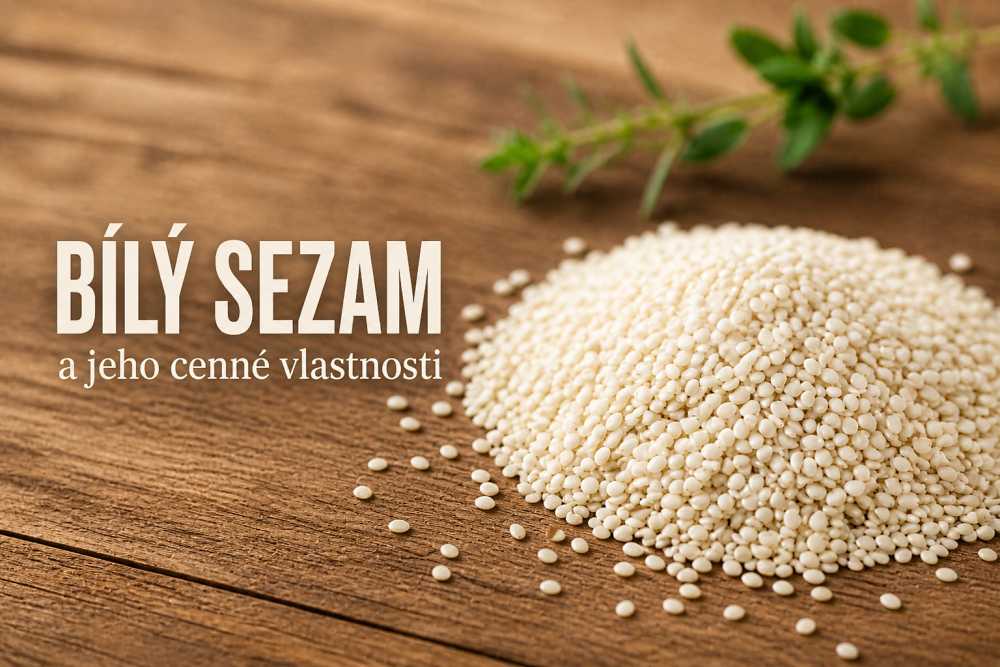 Bílý sezam a jeho cenné vlastnosti
