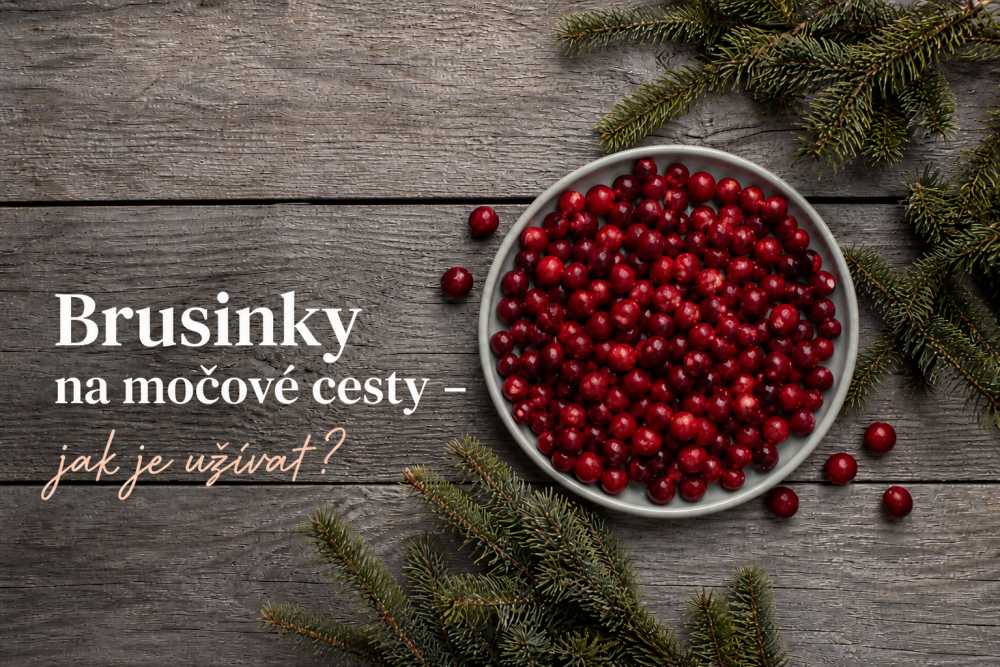 Brusinky na močové cesty – jak je užívat?