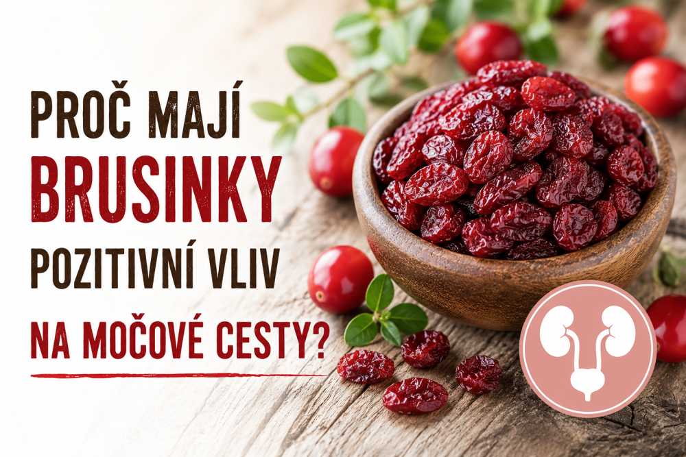 Brusinky a močové cesty: proč fungují a jak je jíst?