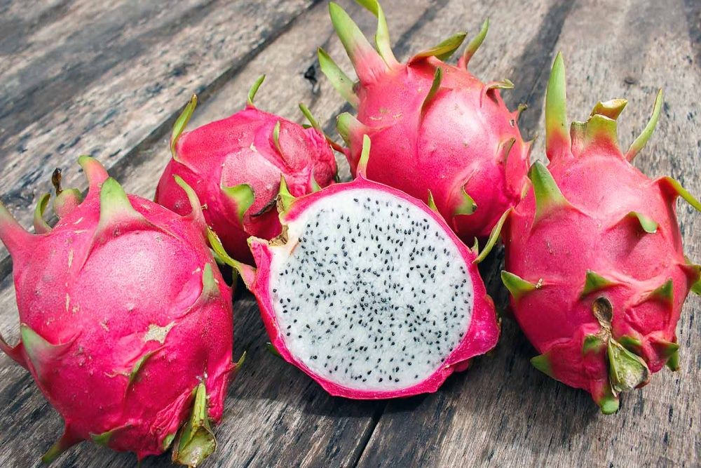 Dračí ovoce (pitaya): Zdravotní benefity a nutriční hodnoty této exotické lahůdky