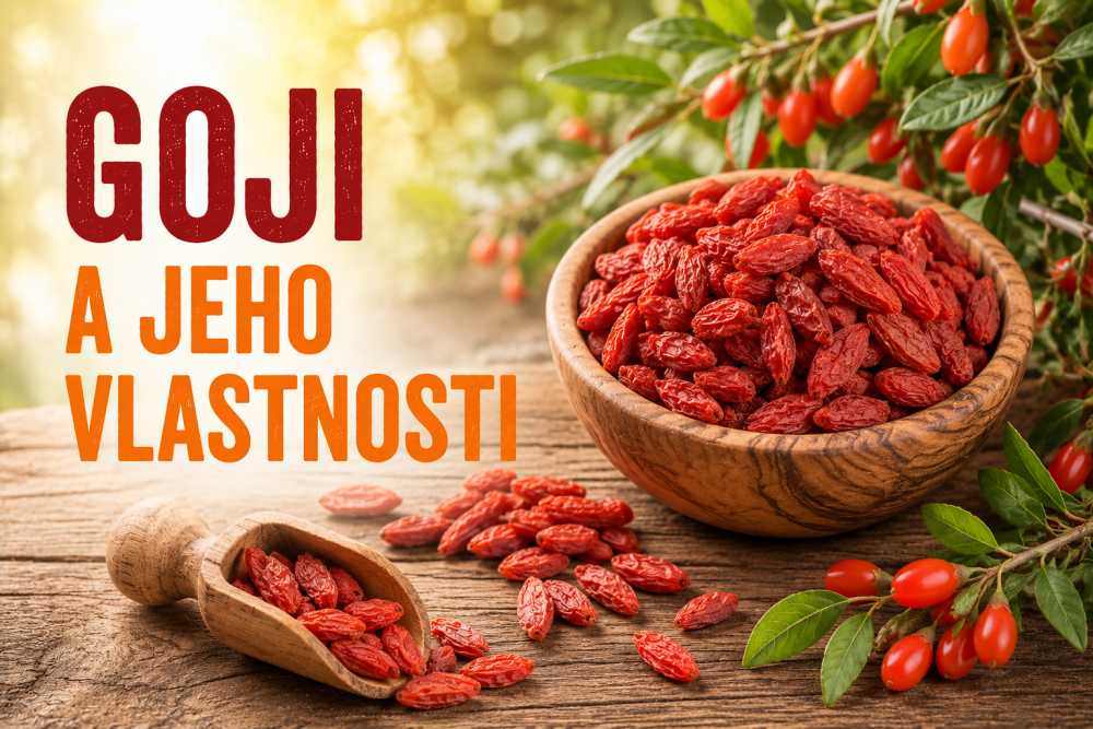 Goji: superovoce pro imunitu, zrak i energii. Jaké má účinky a jak ho využít?