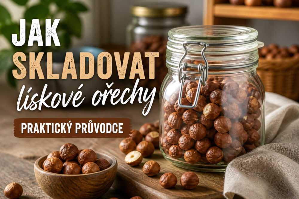 Jak skladovat lískové ořechy? Praktický průvodce.