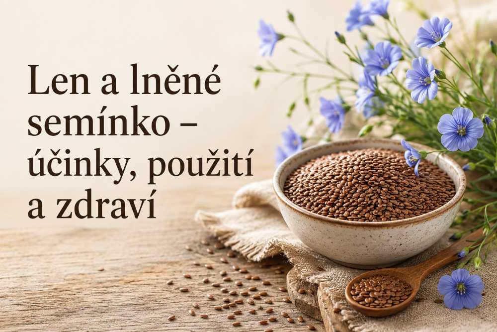Len - původ, použití a zdravotní vlastnosti lnu