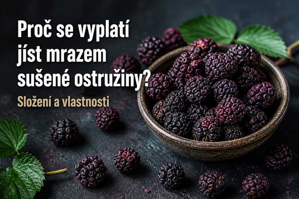 Proč se vyplatí jíst mrazem sušené ostružiny? Složení a vlastnosti