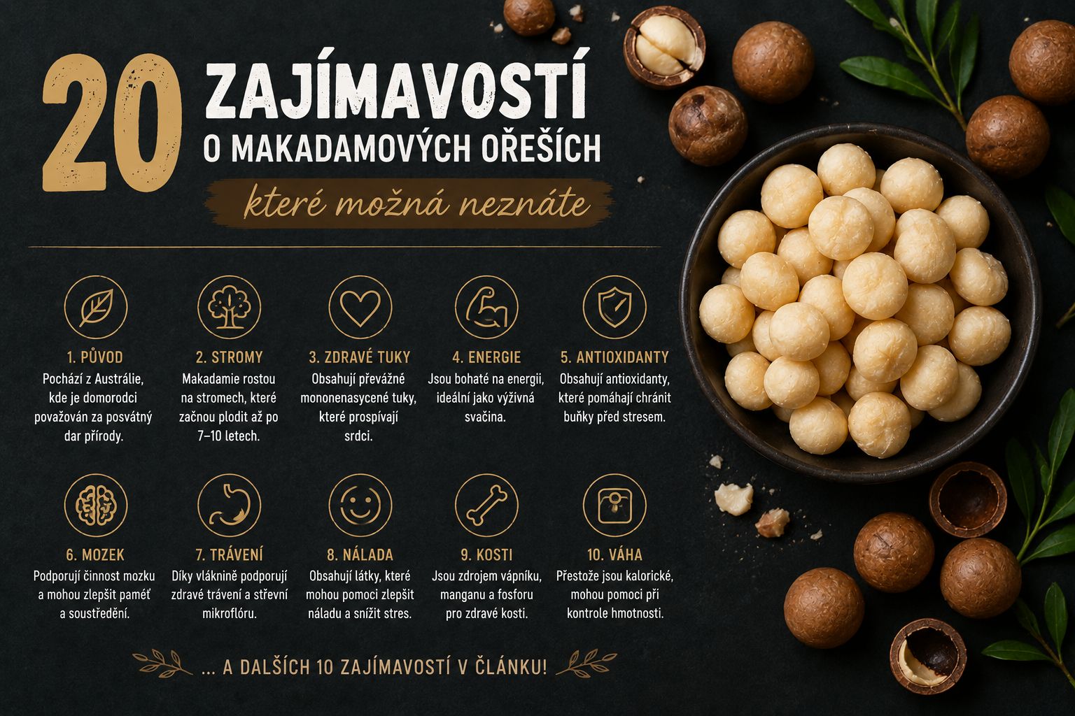 20 zajímavostí o makadamových ořeších, které možná neznáte