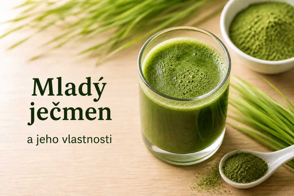 Mladý ječmen – výživová bomba pro tělo i mysl