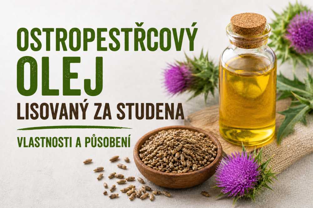 Ostropestřecový olej lisovaný za studena – vlastnosti a působení