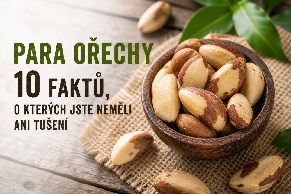 Para ořechy – 10 faktů, o kterých jste neměli ani tušení