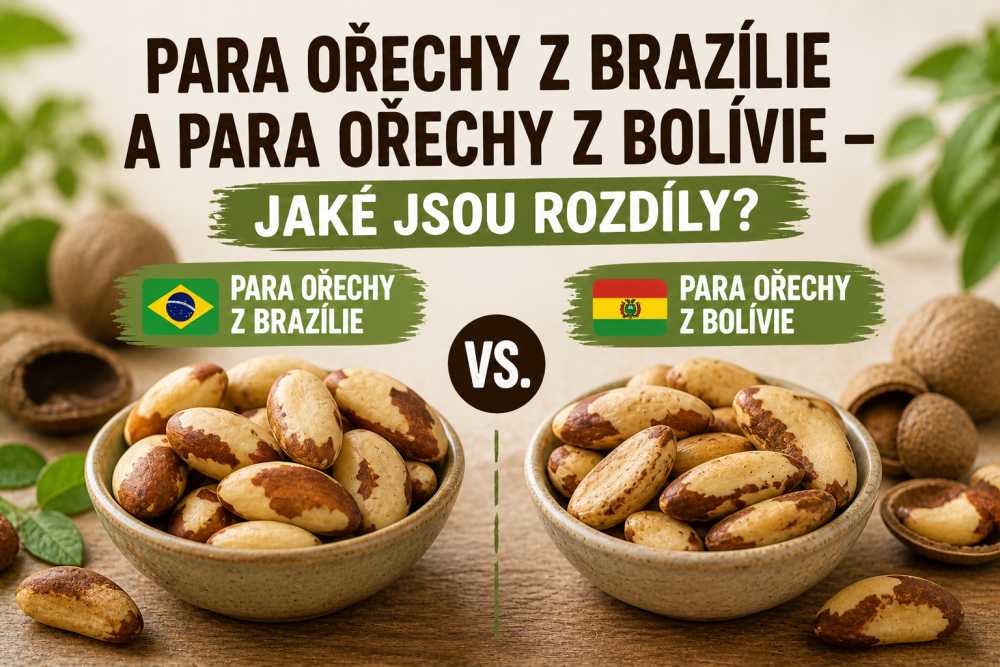 Para ořechy z Brazílie vs. Bolívie: Které obsahují více selenu?