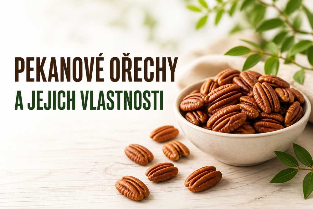 Pekanové ořechy a jejich vlastnosti