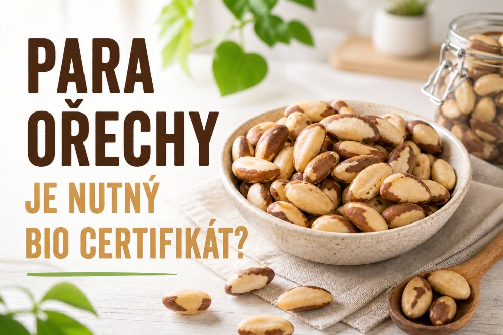 Proč jíst para ořechy? Výživové hodnoty, účinky a tipy na použití
