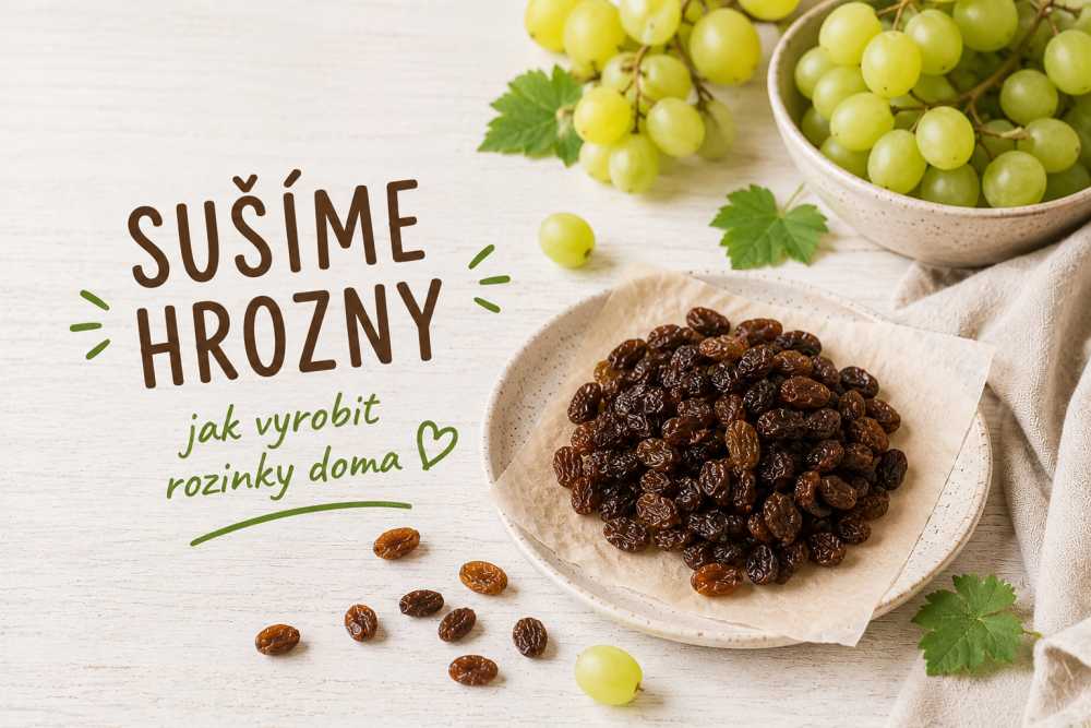 Sušíme hrozny! Jak vyrobit rozinky doma?