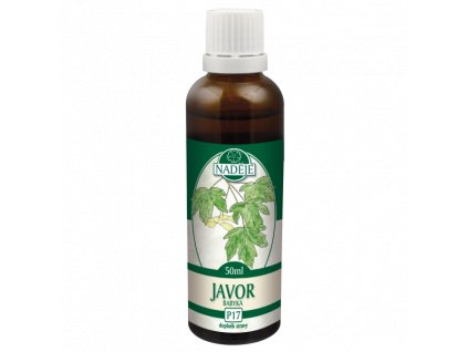 Naděje Javor babyka tinktura z pupenů P17 50 ml