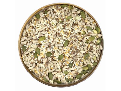 Zdravoslav Semínková směs 500 g