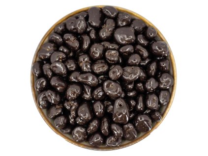 Zdravoslav Brusinky v hořké čokoládě 500 g