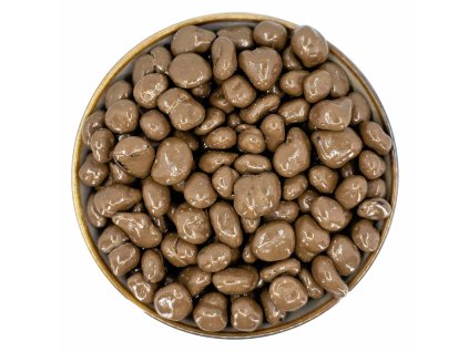 Zdravoslav Brusinky v mléčné čokoládě 500 g