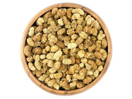 307850263 914577579946801 5383817889404252657 n