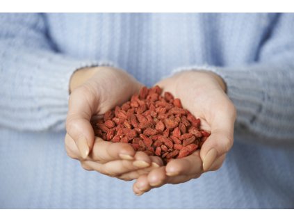 Zdravoslav Kustovnice čínská A600 - GOJI 500 g