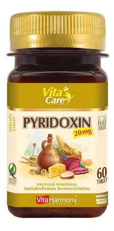 Levně VitaHarmony Pyridoxin 20 mg 60 tablet
