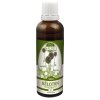 Naděje Bělotrn kulatohlavý tinktura z byliny T1 50 ml