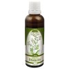 Naděje Řimbaba tinktura z byliny T37 50 ml