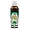 Naděje Pupalka dvouletá tinktura z pupenů P58 50 ml