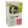 Drontal Junior psy a.u.v.sus.50ml+apl. 