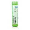 ARSENICUM IODATUM POR 5CH GRA 1X4G